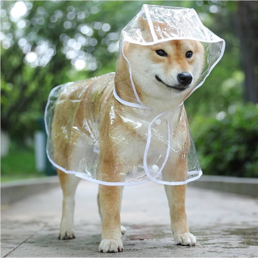 Transparent waterproof raincoat for dogs size XXL